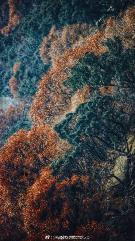 苍崖渺难涉的下一句是什么 苍崖渺难涉