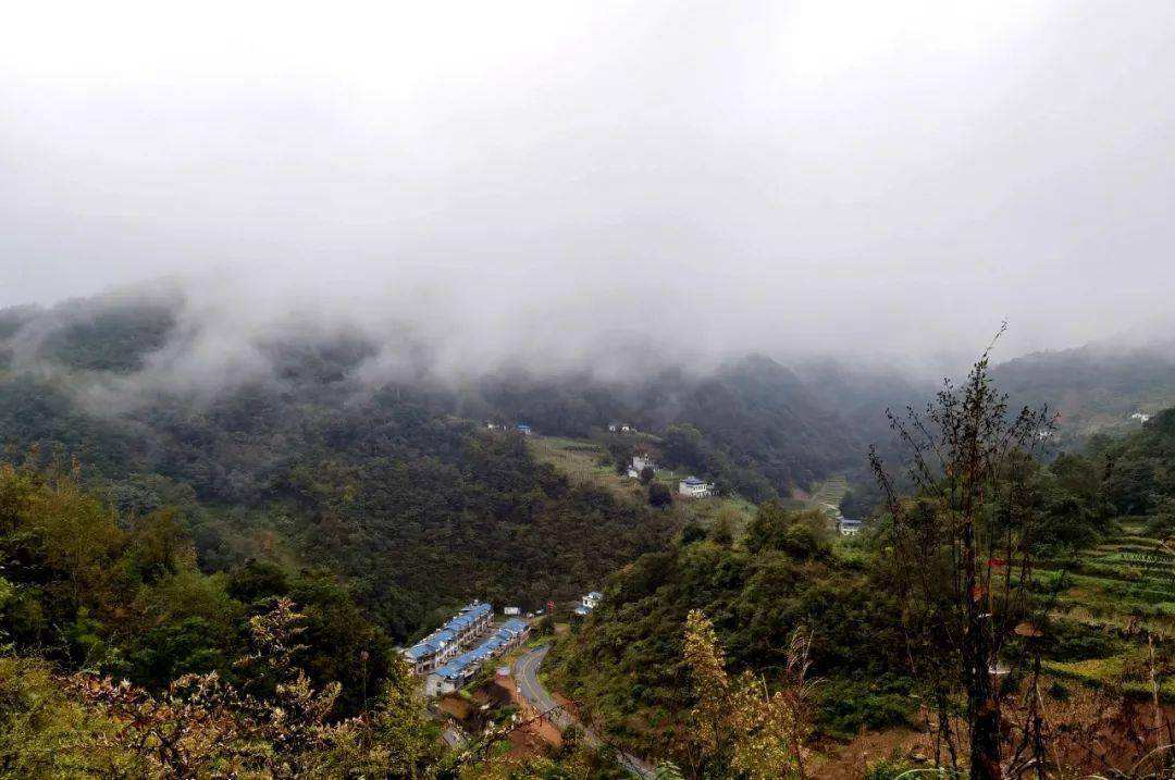 苍崖渺难涉的下一句是什么 苍崖渺难涉