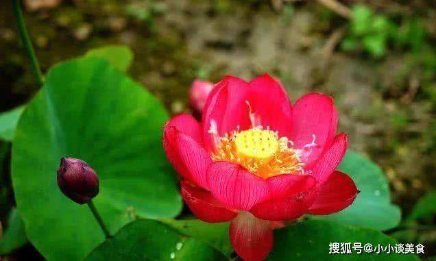 6月11号末次月经怀孕几周了 6月11号