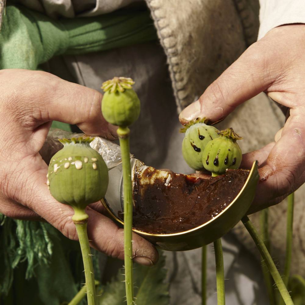 被辩证法毒害的中国人的简单介绍 被辩证法毒害的中国人的简单介绍