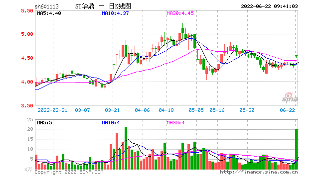 银亿股份东方财富 601113