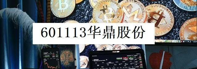 银亿股份东方财富 601113