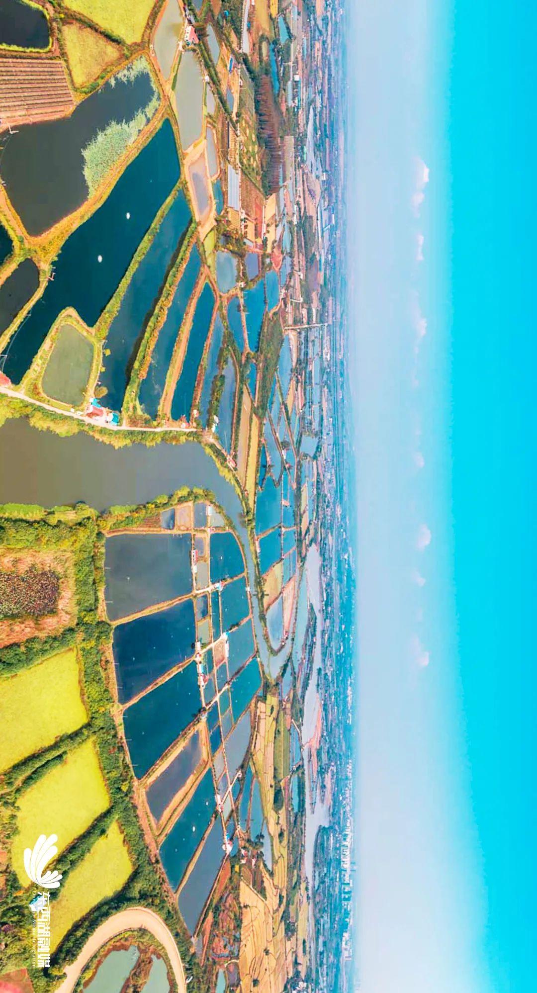 毕竟西湖湖论坛 东西湖论坛