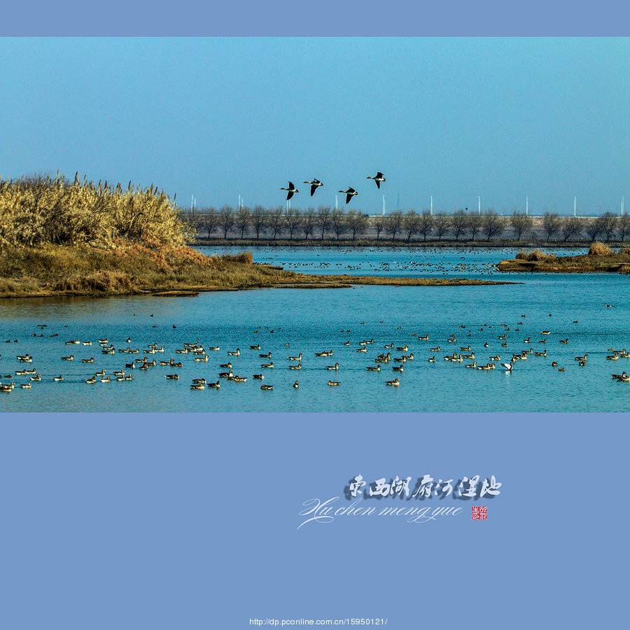 毕竟西湖湖论坛 东西湖论坛