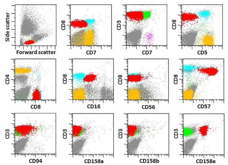 cd7+是什么意思 cd7