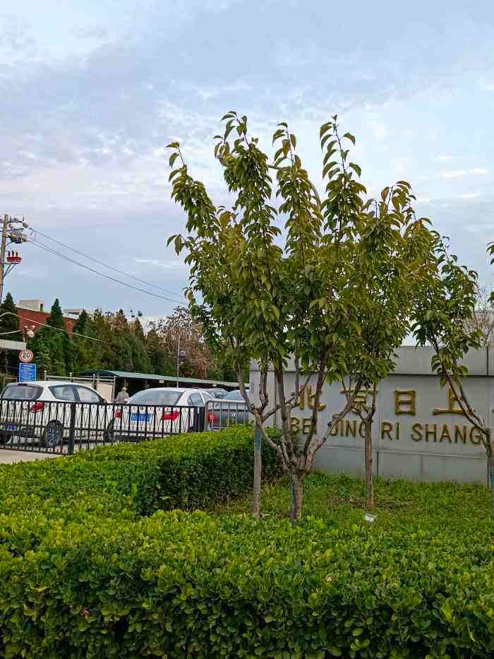 日上集团是做什么的 日上集团