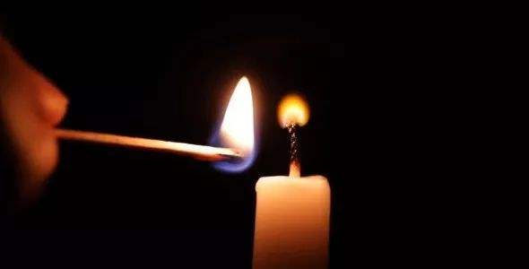 王庆莲简历 王庆根