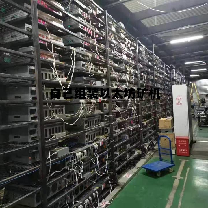 自己组装以太坊矿机多少钱 自己组装以太坊矿机 自己组装以太坊矿机多少钱 自己组装以太坊矿机