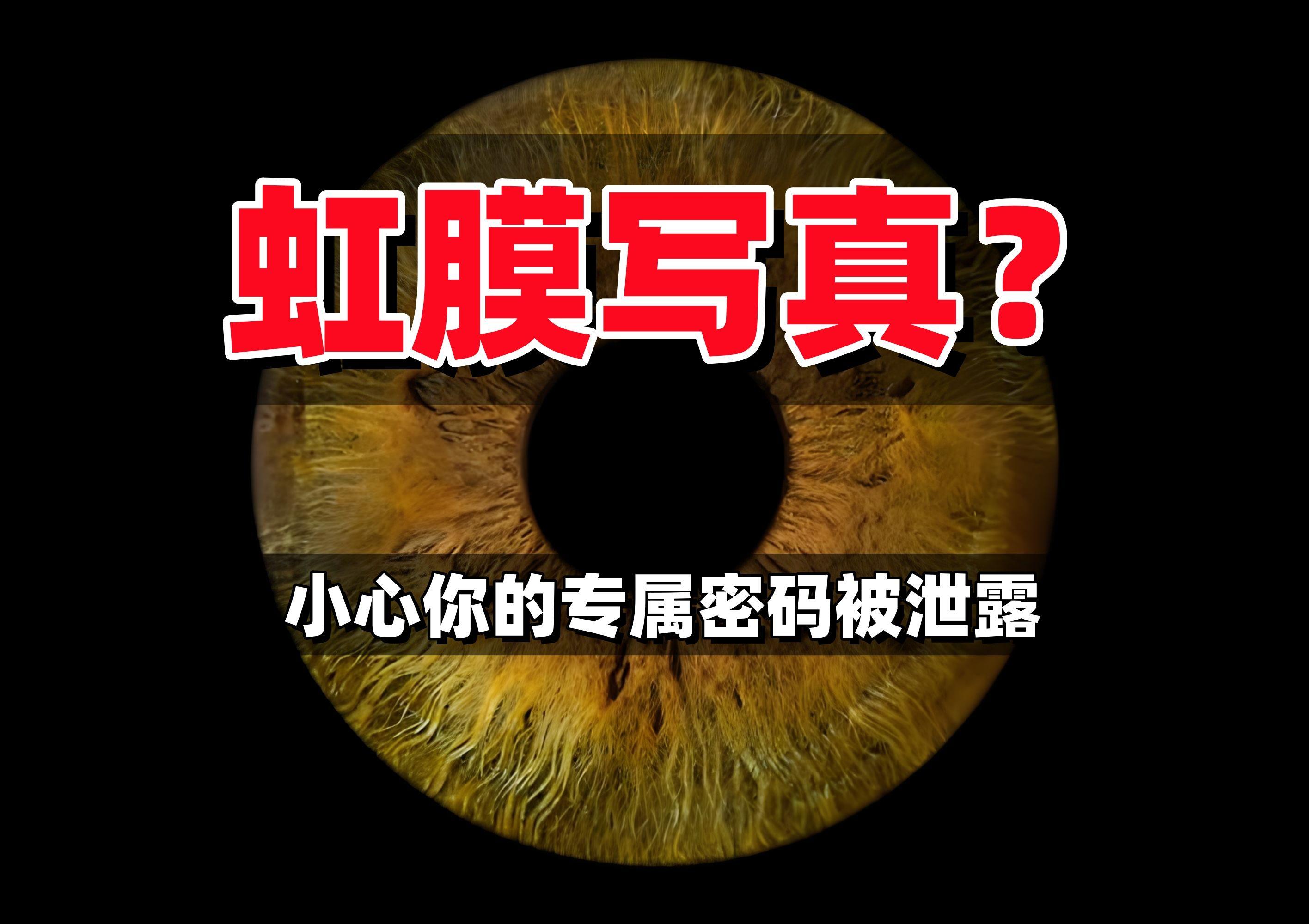 区块链视角下 区块链虹膜