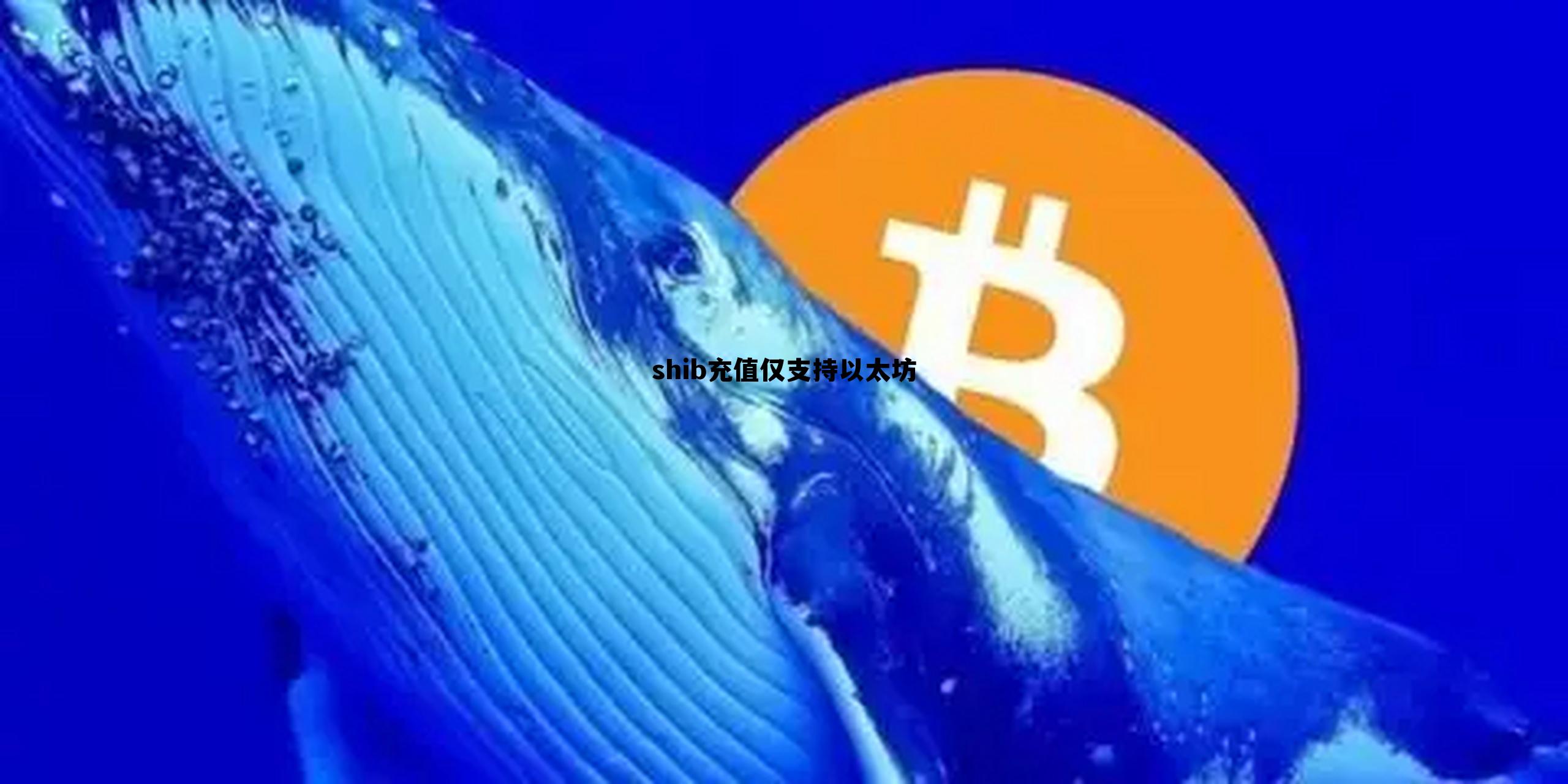 充币仅支持以太坊transfer shib充值仅支持以太坊