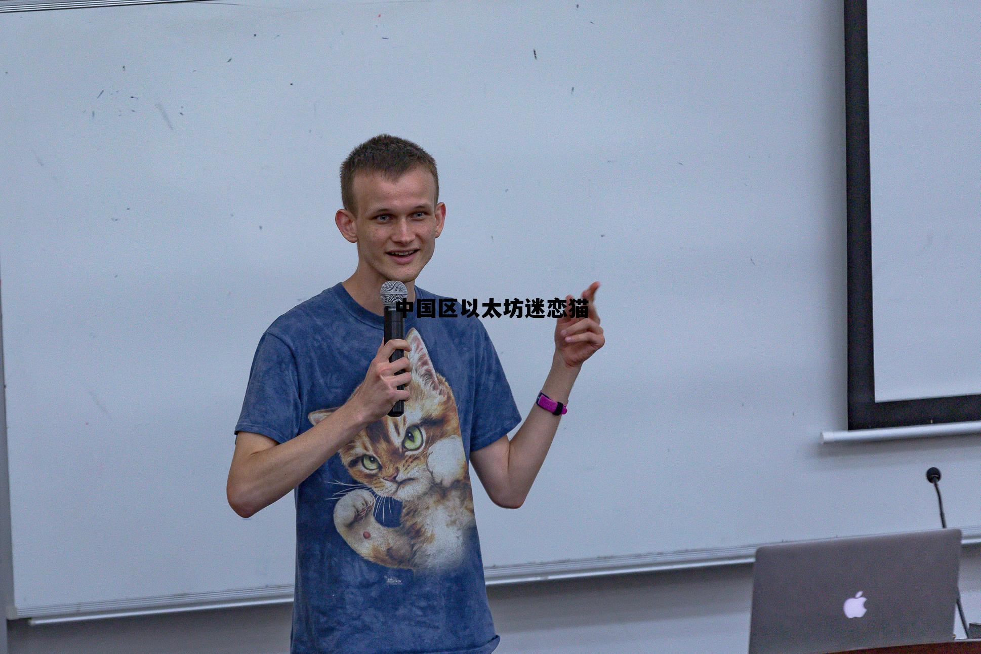 以太坊在中国交易合法吗 中国区以太坊迷恋猫 以太坊在中国交易合法吗 中国区以太坊迷恋猫